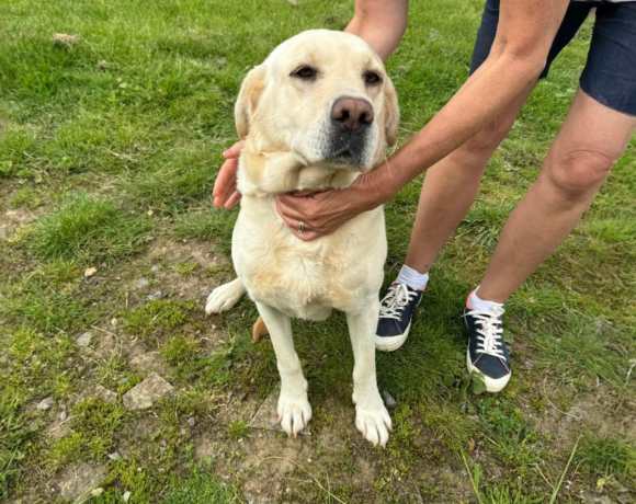 Blond Female